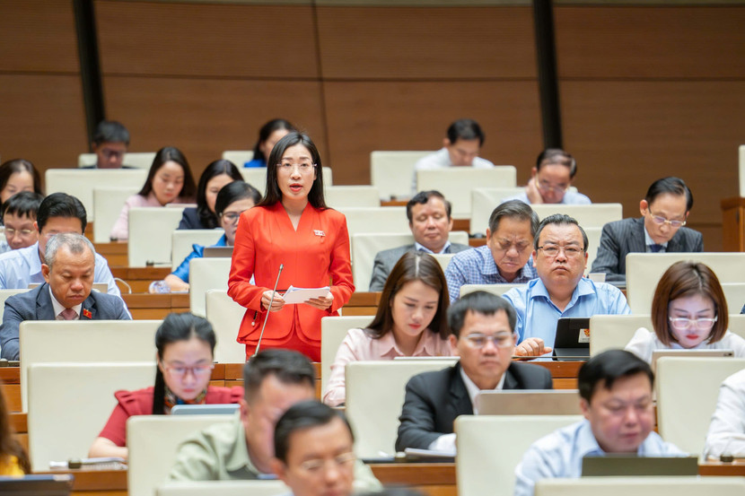 Đại biểu Hoàng Thị Thanh Thúy phát biểu Đại biểu Hoàng Thị Thanh Thúy phát biểu