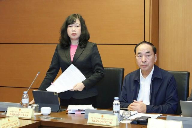 Bộ trưởng Bộ Y tế Đào Hồng Lan phát biểu thảo luận tổ