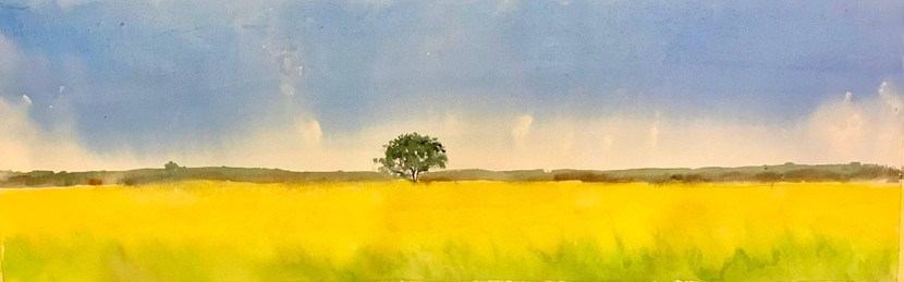 Tác phẩm của hoạ sĩ Nguyễn Ngọc Phương