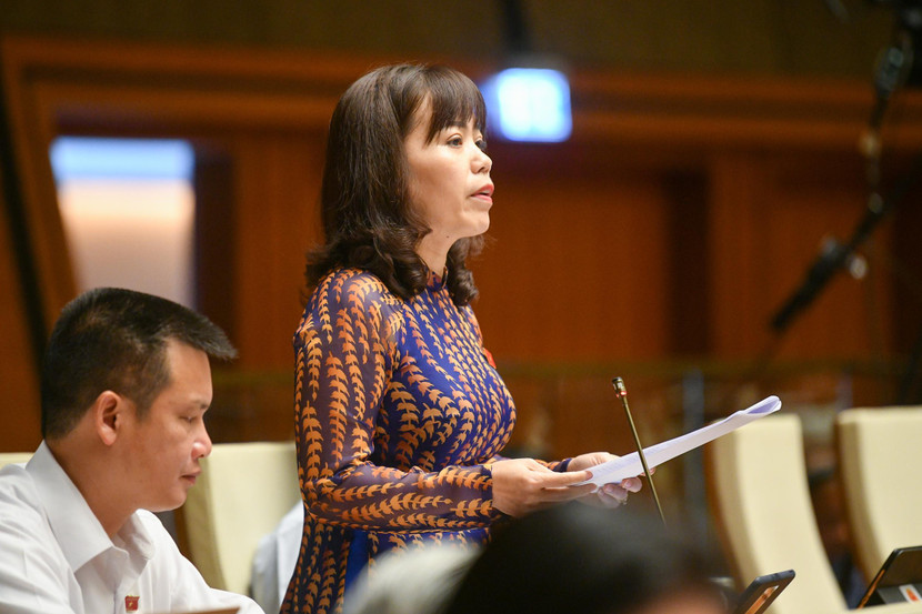 Đại biểu Lý Thị Lan (Đoàn ĐBQH tỉnh Hà Giang)