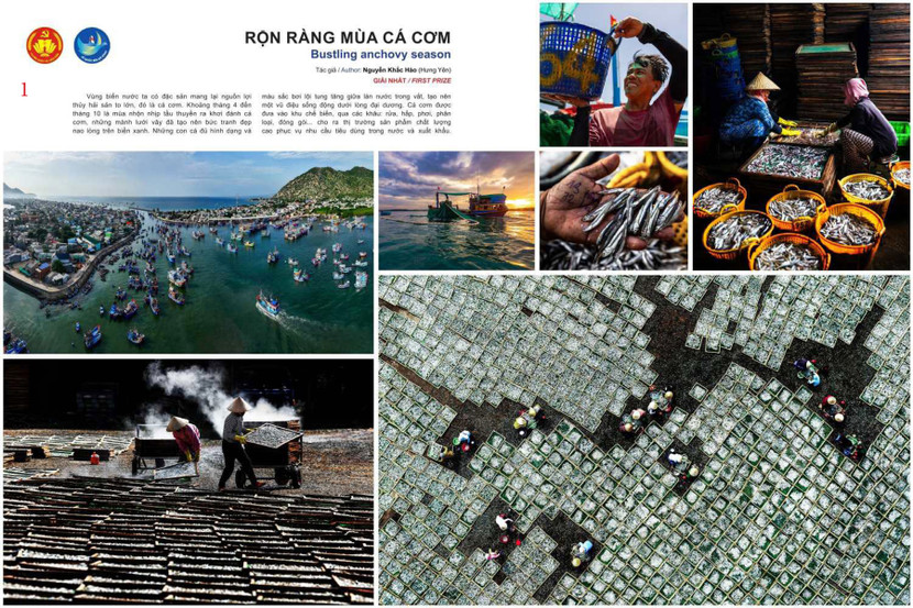 Bộ ảnh "Rộn ràng mùa cá cơm" của tác giả Nguyễn Khắc Hào đã được trao giải Nhất cuộc thi ảnh "Tổ quốc bên bờ sóng lần 3".
