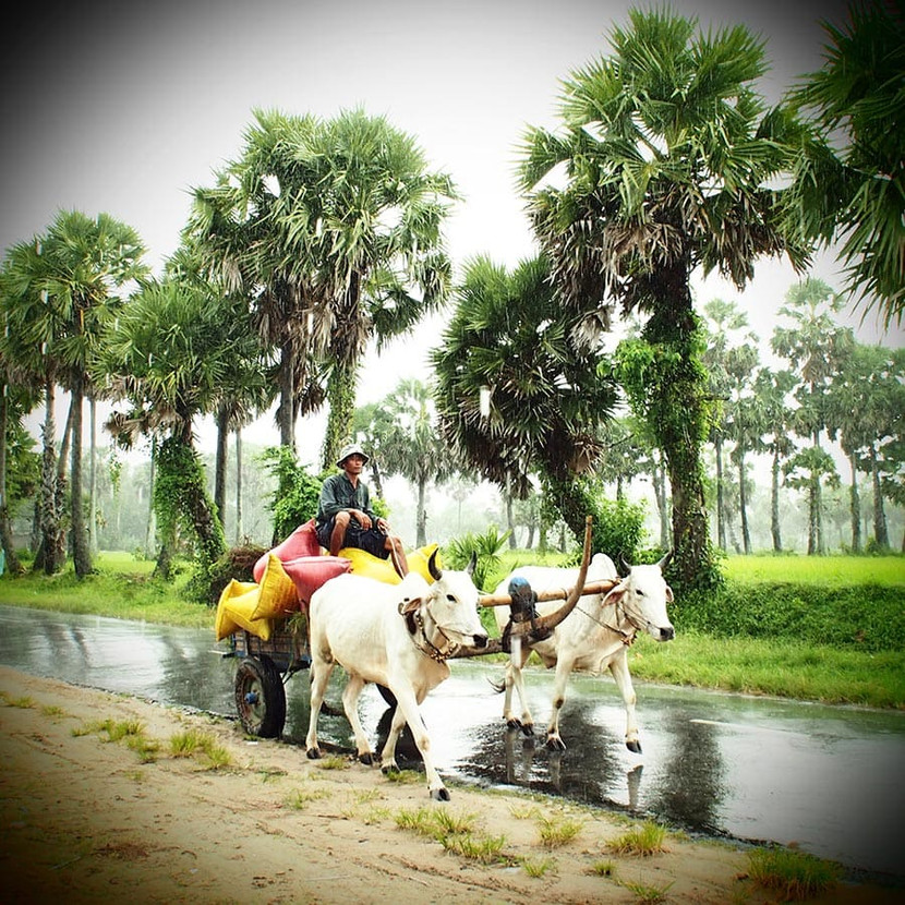 Tác phẩm của Thịnh Lê