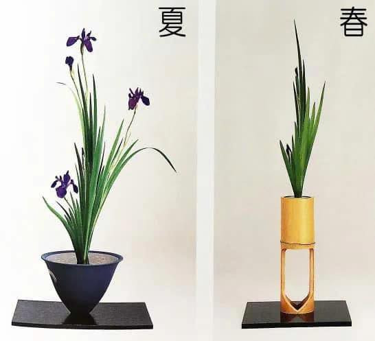 Nghệ thuật hoa đạo Nhật Bản - Ikebana đã có 600 năm tồn tại và phát triển.