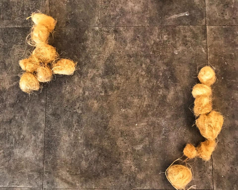 Một phần tác phẩm "Tơ giáp hạt" của nghệ sĩ Phan Thảo Nguyên