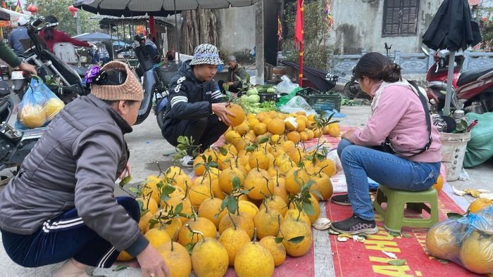 Bưởi thắp hương cỡ vừa chỉ 40.000-60.000 đồng/quả Bưởi thắp hương cỡ vừa chỉ 40.000-60.000 đồng/quả