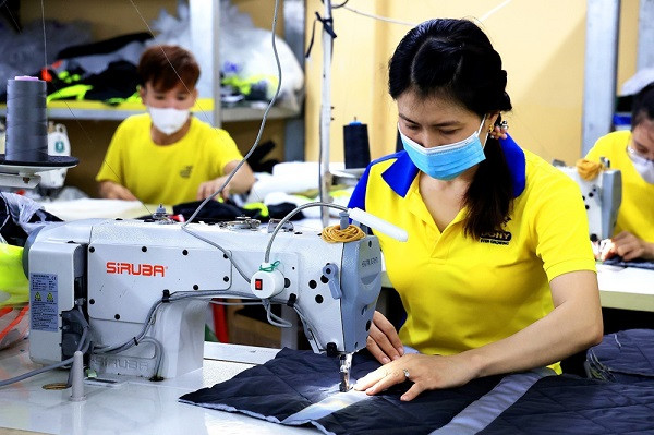 Lao động có việc làm tăng, thu nhập của người lao động được cải thiện