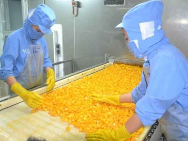 Doanh nghiệp xuất khẩu thực phẩm chế biến của Việt Nam cần tuân thủ quy định chặt chẽ của Hàn Quốc về an toàn thực phẩm