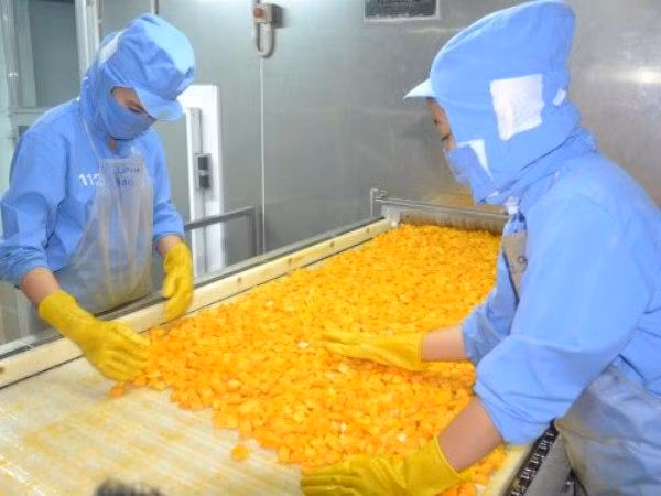 Doanh nghiệp xuất khẩu thực phẩm chế biến của Việt Nam cần tuân thủ quy định chặt chẽ của Hàn Quốc về an toàn thực phẩm