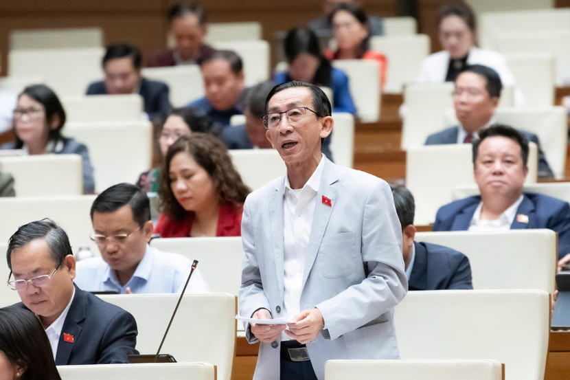 Đại biểu Trần Hoàng Ngân (đoàn TP HCM) phát biểu