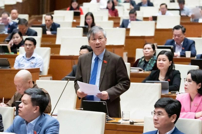 ĐBQH Nguyễn Anh Trí phát biểu