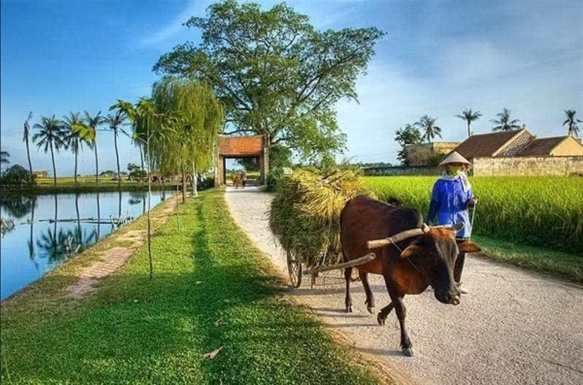 Quê - đó là mảnh đất rộng rãi đủ để phóng tầm mắt, nơi người ta có thể thỏa thuê trồng cây ăn quả, trồng cây ăn lá, hoặc là có một cái hồ đủ để nuôi cá, đủ cả vườn - ao - chuồng