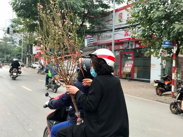 Cành đào được nhiều người lựa chọn thay vì mua cây to Cành đào được nhiều người lựa chọn thay vì mua cây to