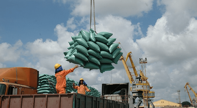 Doanh nghiệp xuất khẩu gạo cần tuân thủ quy định về thu mua, tạm giữ gạo