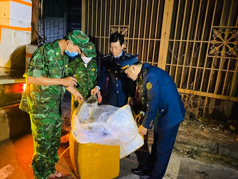 Ngăn chặn vận chuyển trái phép lợn vào Việt Nam để phòng chống lây lan dịch bệnh Ngăn chặn vận chuyển trái phép lợn vào Việt Nam để phòng chống lây lan dịch bệnh