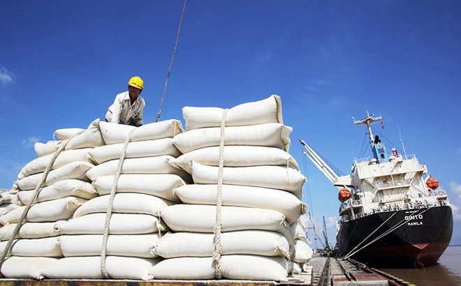 Giá gạo tiếp tục tăng cả ở thị trường nội địa và xuất khẩu