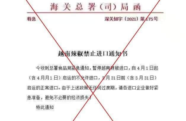 Văn bản giả mạo về việc xuất khẩu ớt từ Việt Nam Văn bản giả mạo về việc xuất khẩu ớt từ Việt Nam