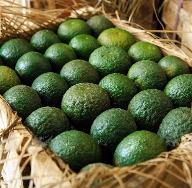 Việt Nam chưa xuất khẩu nhiều loại trái cây sang Algeria