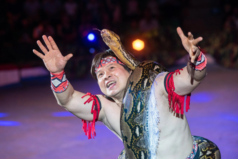 Giám đốc Liên đoàn Xiếc Việt Nam Tống Toàn Thắng sẽ xuất hiện trong chương trình với tiết mục xiếc trăn đã làm nên tên tuổi của anh. Giám đốc Liên đoàn Xiếc Việt Nam Tống Toàn Thắng sẽ xuất hiện trong chương trình với tiết mục xiếc trăn đã làm nên tên tuổi của anh.