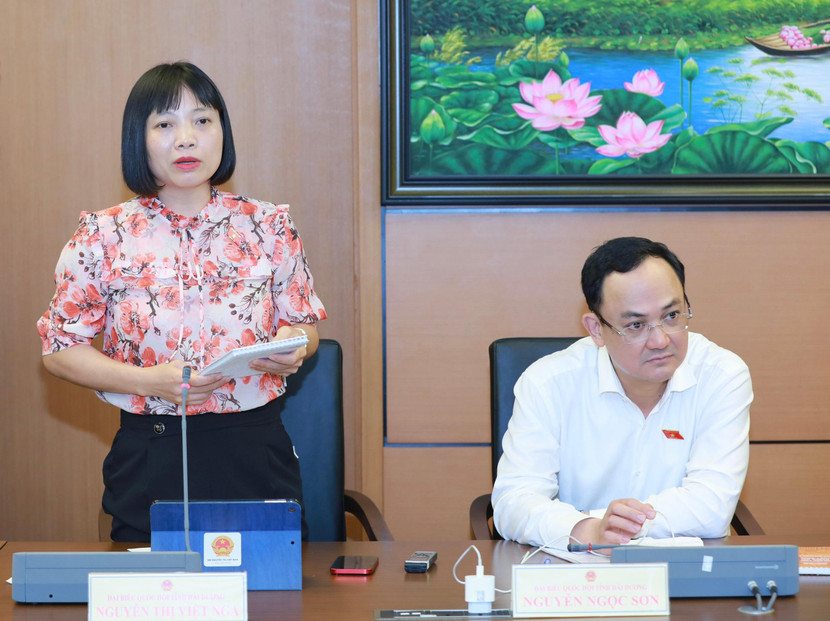 ĐBQH Nguyễn Thị Việt Nga thảo luận tổ về Luật phòng chống bạo lực gia đình (sửa đổi)