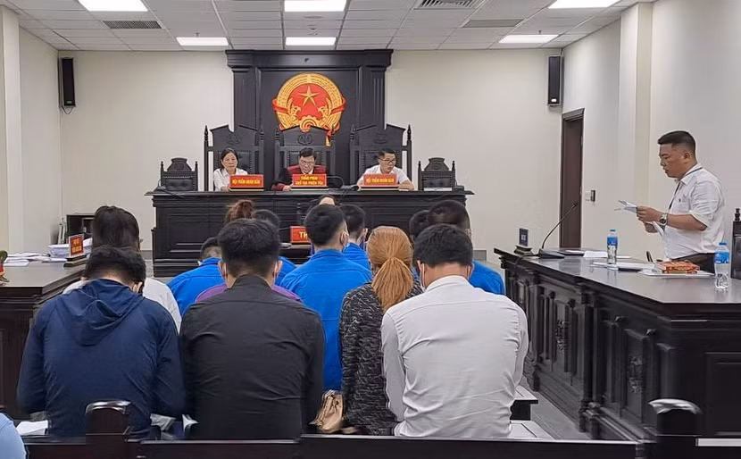 Ổ nhóm "sản xuất" giấy phép lái xe giả bị đưa ra xét xử tại phiên tòa.