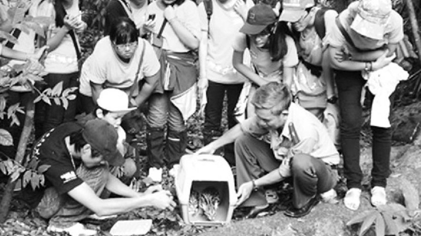 Những chuyến đi thực tế như ở vườn quốc gia Cúc Phương luôn cho trẻ nhiều bài học sâu sắc