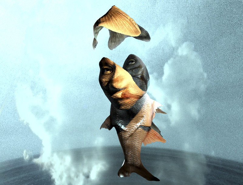 Tác phẩm video art đoạt giải Nhì "Tích tắc" của nghệ sĩ Võ Việt Dũng