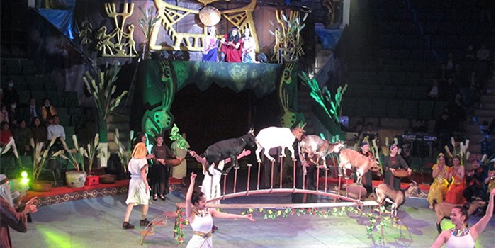 Các màn xiếc thú xuất hiện trong vở diễn rất ăn nhập