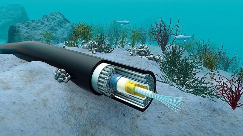 Cáp quang biển gặp sự cố, Internet Việt Nam chập chờn