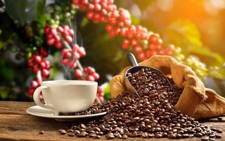 Nhiều mặt hàng xuất khẩu của Việt Nam sang Vương quốc Anh hưởng lợi từ UKVFTA