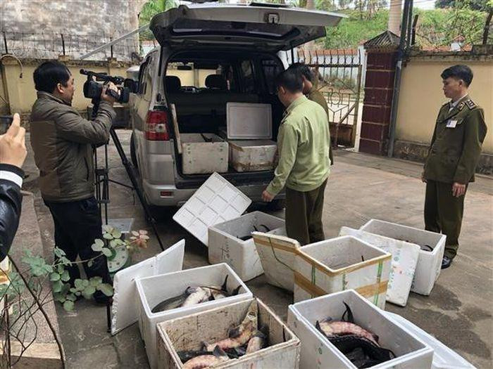 Lực lượng chức năng phát hiện, tạm giữ lô hàng cá tầm nhập ngoại