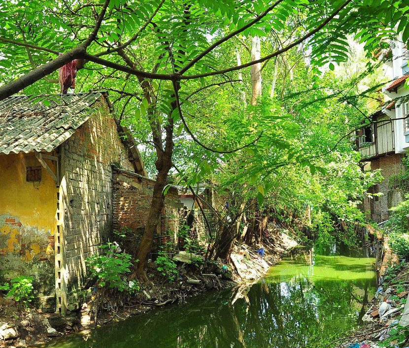 Sông Tô Lịch đoạn qua phố Thụy Khuê nay đã trở thành con sông “chết”, một ao tù dài vì mất nguồn