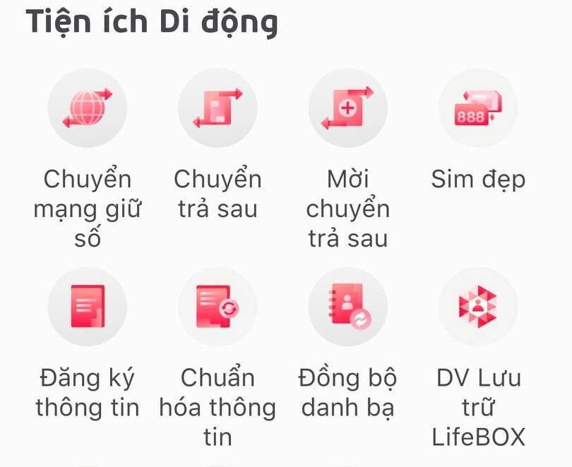 Khách hàng có thể tự kiểm tra thông tin đã chuẩn hóa chưa từ ứng dụng (app) của nhà mạng