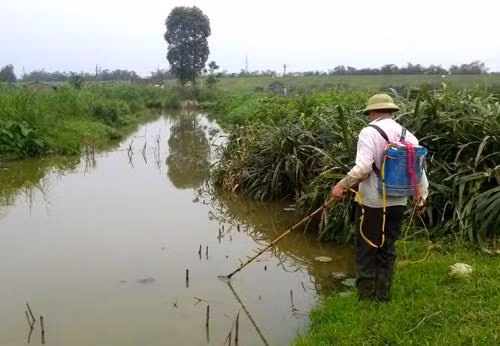 Nghiêm cấm sử dụng chất nổ, xung điện, chất độc để khai thác thủy sản