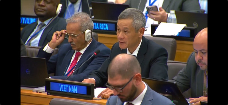 Ông Nguyễn Minh Vũ, Thứ trưởng thường trực Bộ Ngoại giao Việt Nam (giữa), phát biểu tại phiên họp thông qua dự thảo Công ước Liên hợp quốc về phòng chống tội phạm mạng