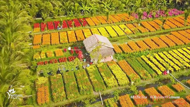 Hình ảnh cắt từ clip