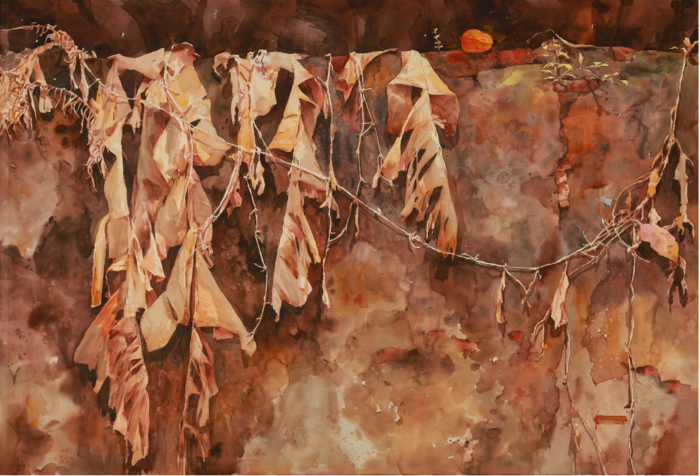 Bức tranh màu nước "Láng giềng" của họa sĩ Hồ Hưng thể hiện nét đẹp giản dị của làng quê Việt Nam, qua những hình ảnh quen thuộc như bức tường hay lá chuối, mang lại cảm giác bình yên. Giá bán: 70 triệu đồng.