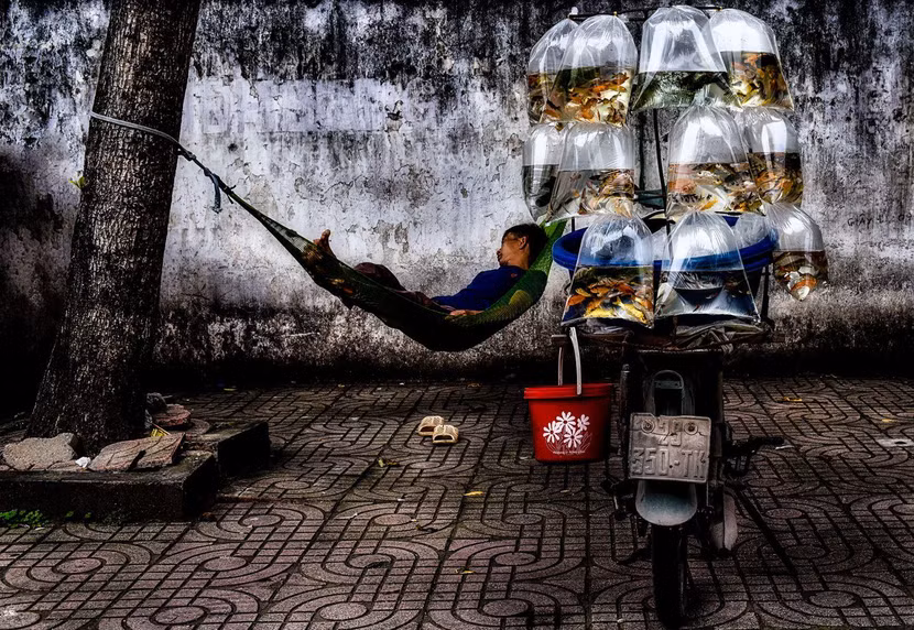 Tác phẩm "Giấc mơ phố"