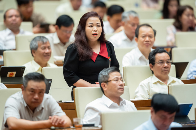 ĐBQH Vũ Thị Lưu Mai phát biểu tại Quốc hội chiều 31-5 ĐBQH Vũ Thị Lưu Mai phát biểu tại Quốc hội chiều 31-5
