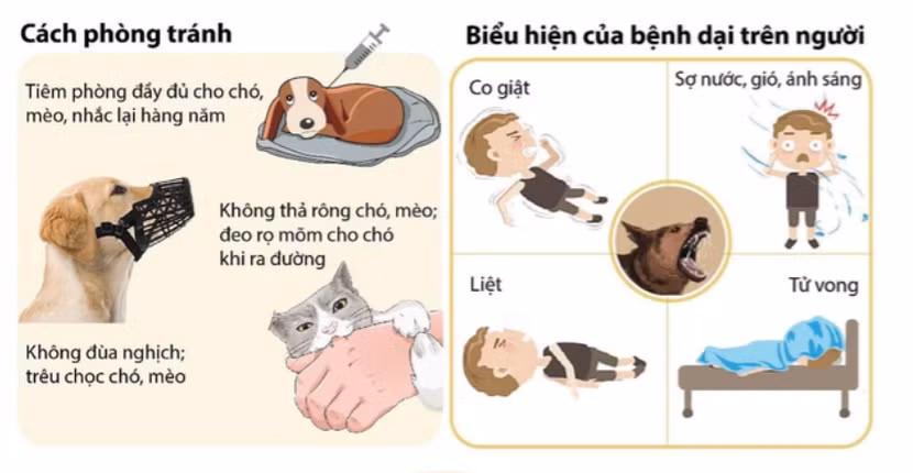 Biểu hiện thường gặp của bệnh dại Biểu hiện thường gặp của bệnh dại