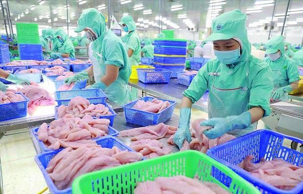 Xuất khẩu thủy sản phục hồi mạnh mẽ