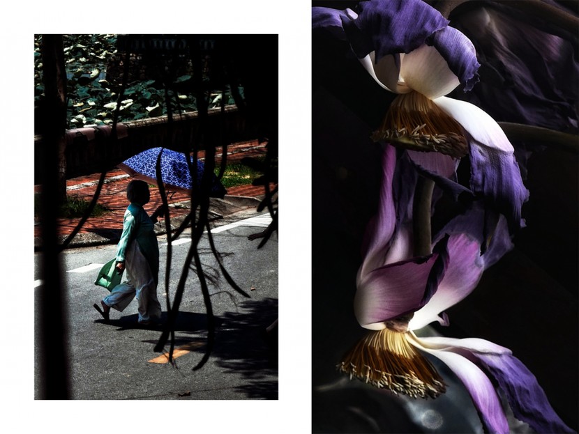 Tác phẩm của nhiếp ảnh gia Nguyễn Đức Hùng Tác phẩm của nhiếp ảnh gia Nguyễn Đức Hùng