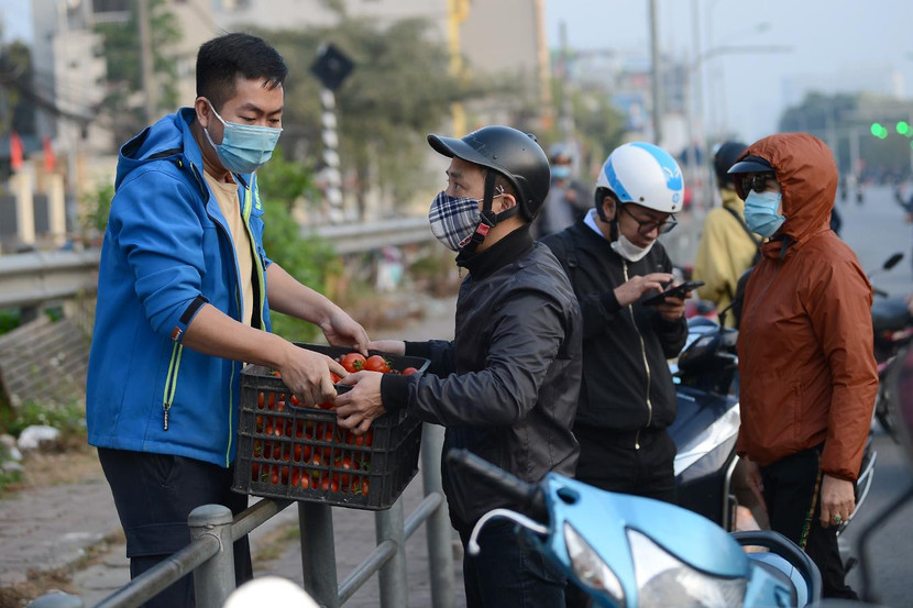 Số nông sản chủ yếu là cà chua và cà rốt, được thu mua từ những nông dân ở TP Chí Linh (Hải Dương)