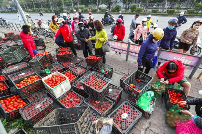 Chiến dịch giải cứu nông sản cho bà con vùng dịch đã được người dân Hà Nội nhiệt tình hưởng ứng