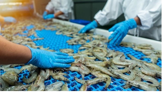 VASEP kiến nghị bãi bỏ hạn ngạch đối với tôm Việt Nam nhập khẩu vào Hàn Quốc VASEP kiến nghị bãi bỏ hạn ngạch đối với tôm Việt Nam nhập khẩu vào Hàn Quốc