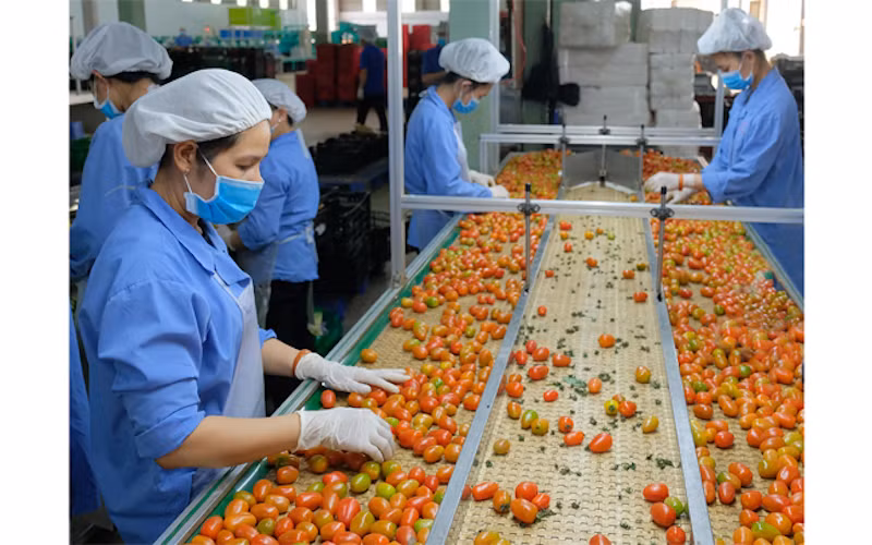 EU siết tiêu chuẩn an toàn với nông sản nhập khẩu