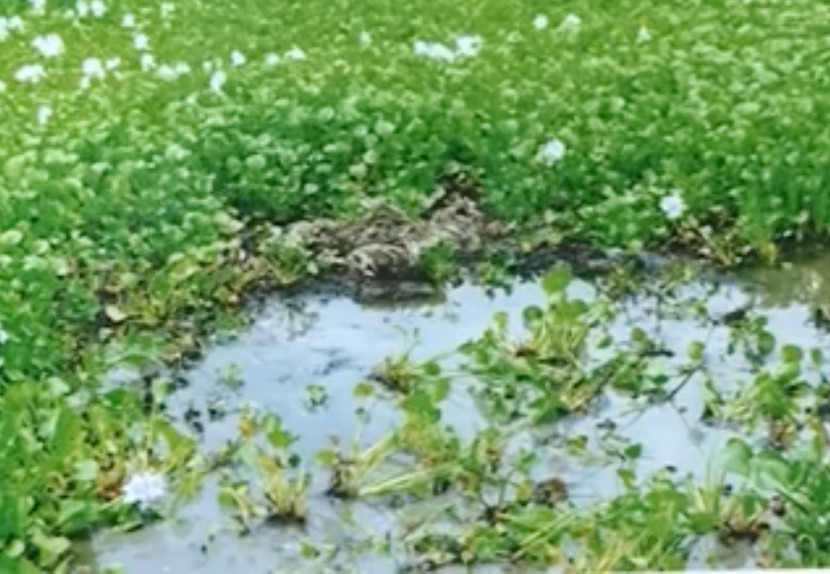 Hiện trường nơi tìm thấy xác nạn nhân Hiện trường nơi tìm thấy xác nạn nhân