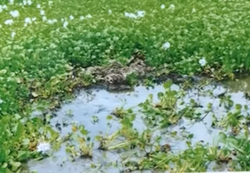 Hiện trường nơi tìm thấy xác nạn nhân