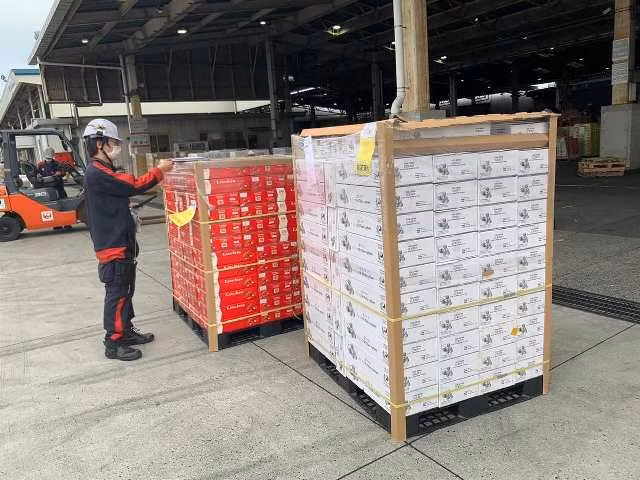 Lô vải thiều gần 1 tấn vải thiều vừa được xuất khẩu sang Nhật Bản