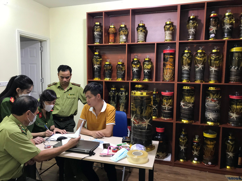 Lực lượng chức năng kiểm tra, phát hiện tại căn hộ của Vũ Quang Hiến có nhiều bình rượu ngâm động vật các loại Lực lượng chức năng kiểm tra, phát hiện tại căn hộ của Vũ Quang Hiến có nhiều bình rượu ngâm động vật các loại