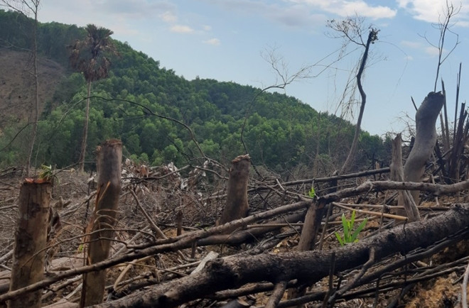 Vụ việc phá rừng xảy ra tại lô 20, khoảnh 2, tiểu khu 109 và lô 3, khoảnh 7, tiểu khu 108 nằm ở đầu nguồn thủy điện Hương Điền